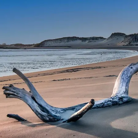 Studio Les pieds dans l'eau - 50m Front de Mer Berck Extérieur photo